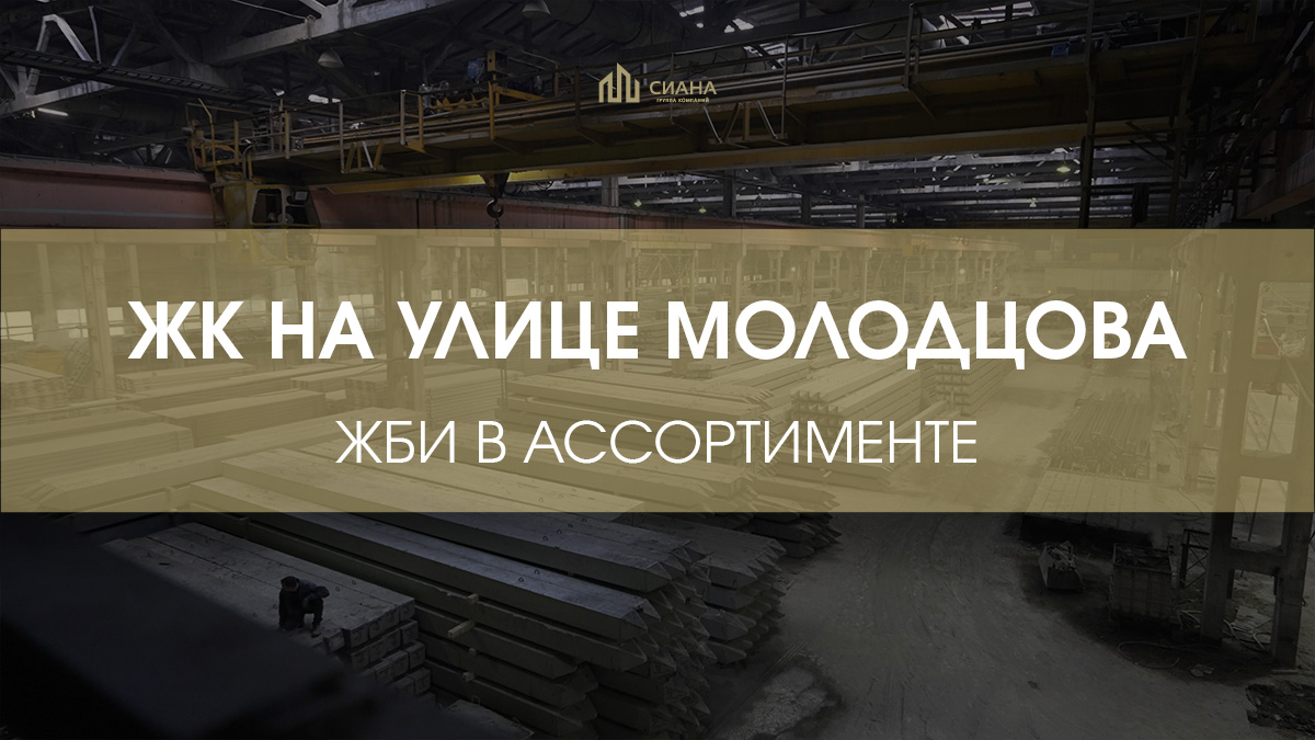 Госзаказ ЖК на улице Молодцова